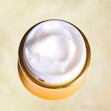 Multi-Elite Eye Cream | Korean Skin Care for All Skin Types