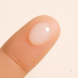 Winter Shield - Holiday Edition