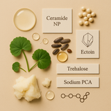 Winter Shield - Holiday Edition