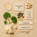 Winter Shield - 2026 | Korean Skin Care for All Skin Types