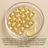 Winter Shield - Holiday Edition