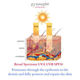 Habaek Sun Protection Body Moisturizer SPF50 Broad Spectrum | Korean Skin Care for All Skin Types