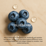 Winter Shield - 2026