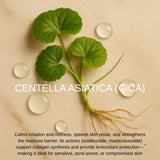 Centella Asiatica (CICA) leaf with water droplets on a beige background, Korean skincare ingredient