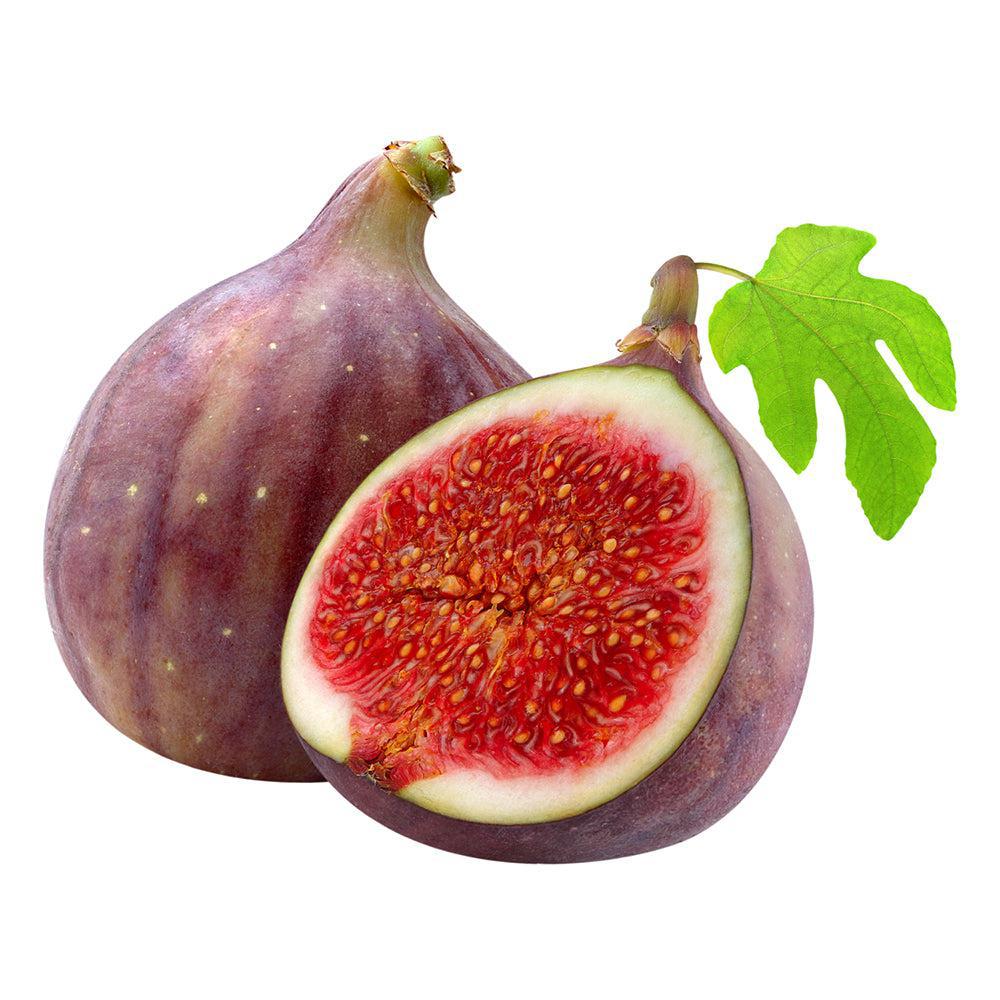 FIG-FRUIT