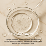 Winter Shield - 2026