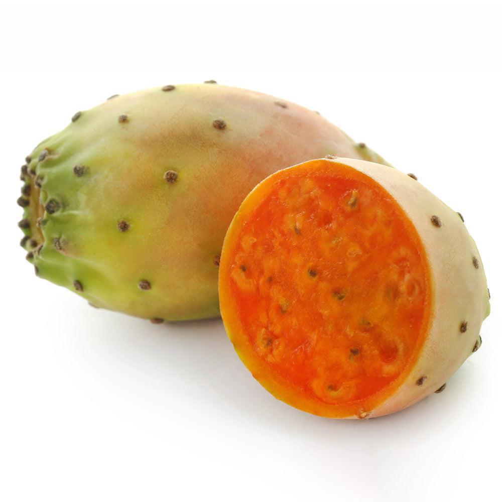 PRICKLY-PEAR