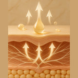 Illustration of skin layers with droplets and arrows indicating moisture absorption.