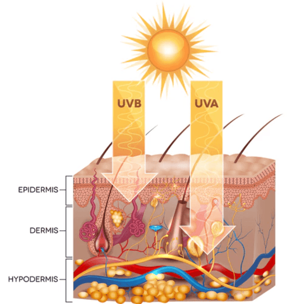 Sunscreen UVA UVB