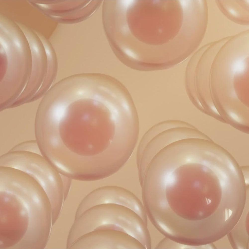 Adenosine – Yeast Derived