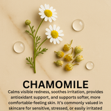 chamomile benefits