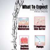 snail mucin for hyperpigmentation and dark spots